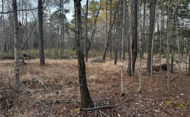 1.58AC General Thomas Highway, Southampton County, VA 23874
