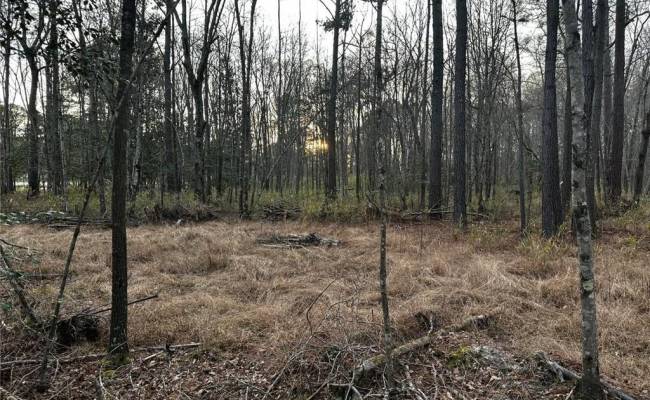 1.58AC General Thomas Highway, Southampton County, VA 23874