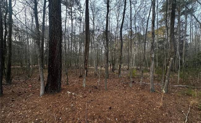 1.58AC General Thomas Highway, Southampton County, VA 23874