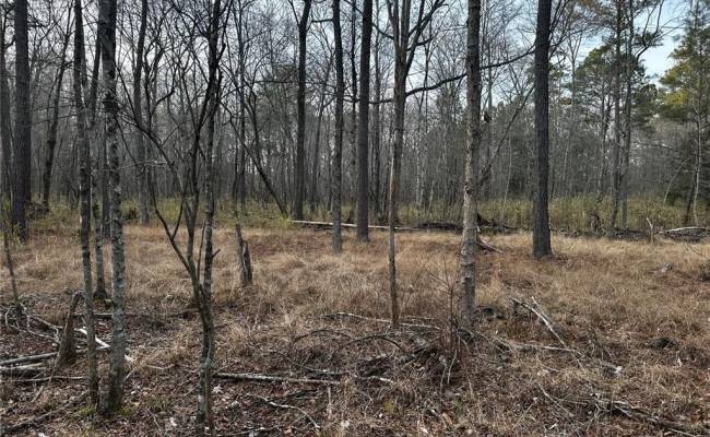1.58AC General Thomas Highway, Southampton County, VA 23874