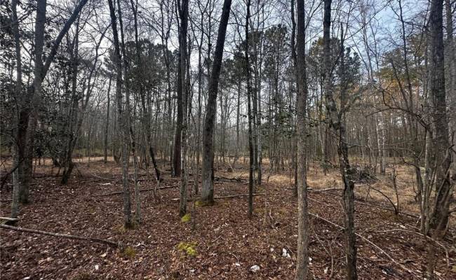1.58AC General Thomas Highway, Southampton County, VA 23874