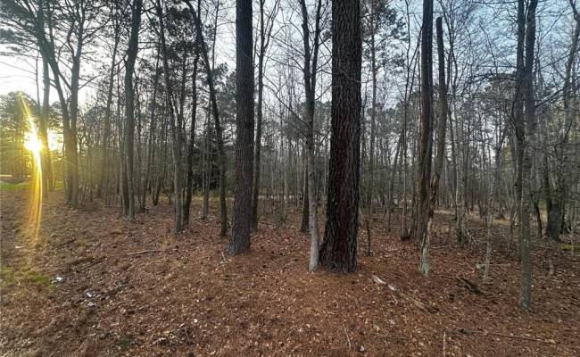 1.58AC General Thomas Highway, Southampton County, VA 23874