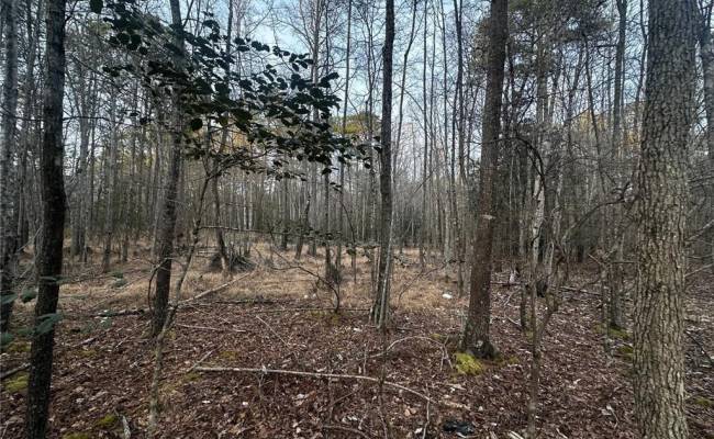 1.58AC General Thomas Highway, Southampton County, VA 23874