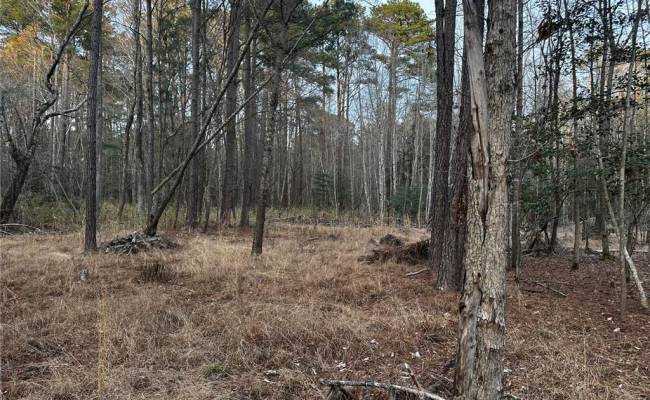 1.58AC General Thomas Highway, Southampton County, VA 23874