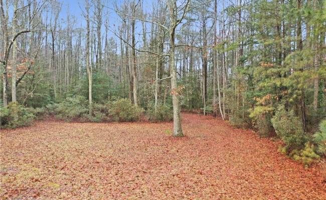 5.1+AC High Bluff Lane, New Kent County, VA 23011