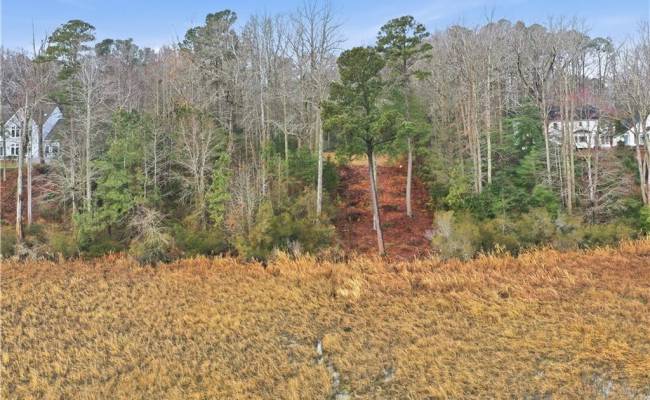 5.1+AC High Bluff Lane, New Kent County, VA 23011