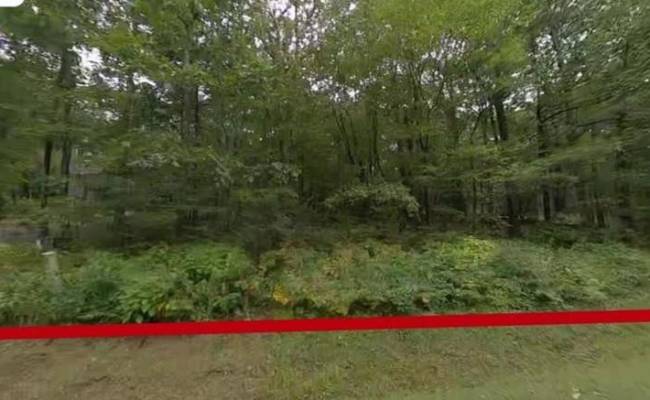 270 Timber Camp Lot 46 Drive, Nelson County, VA 22967