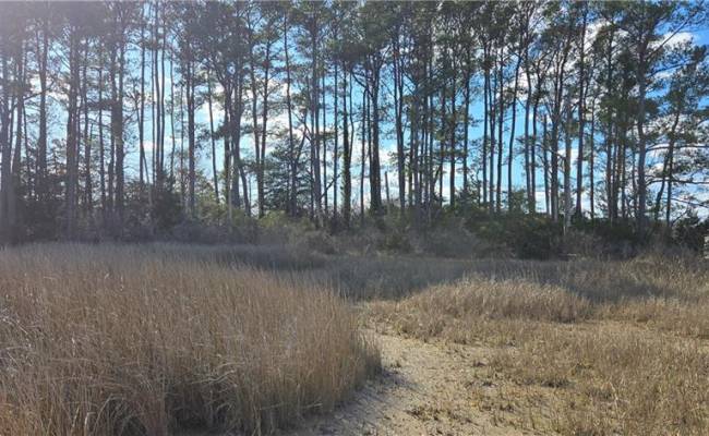 15+AC Haven Beach Road, Mathews County, VA 23119