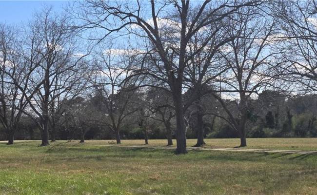 15+AC Haven Beach Road, Mathews County, VA 23119