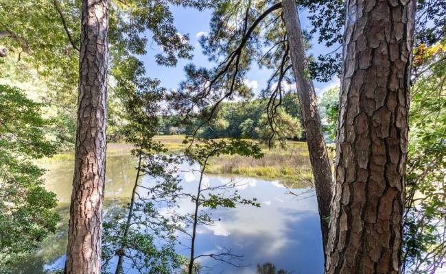 42 Scufflefield Road, Newport News, VA 23602