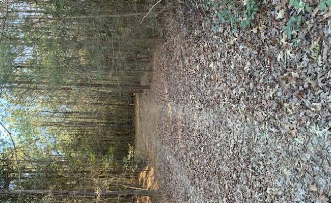 3.1+AC Horse Run Road, Gloucester County, VA 23061