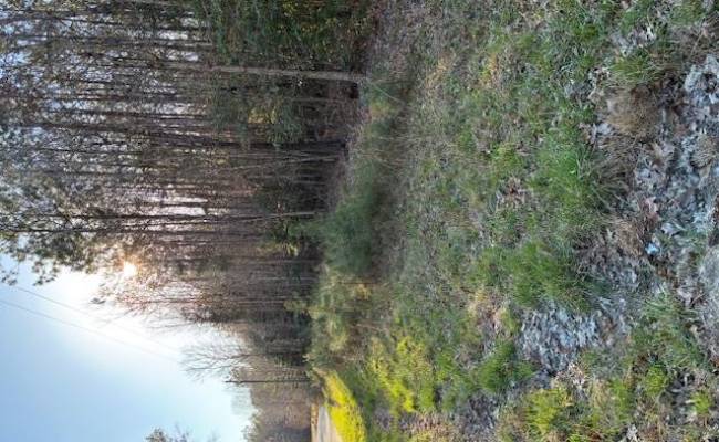 3.1+AC Horse Run Road, Gloucester County, VA 23061