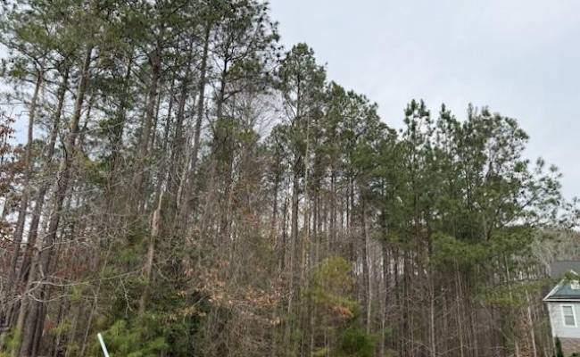 11794 Red Cross Bill Way, New Kent County, VA 23140