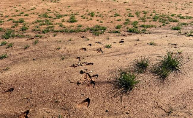 5.481 Centennial Road, Prince George County, VA 23842