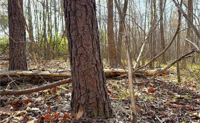 5.481 Centennial Road, Prince George County, VA 23842