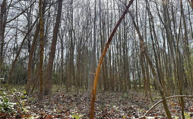 5.481 Centennial Road, Prince George County, VA 23842