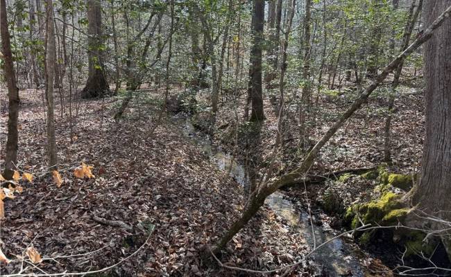 1A Carter Hill Street, Gloucester County, VA 23061