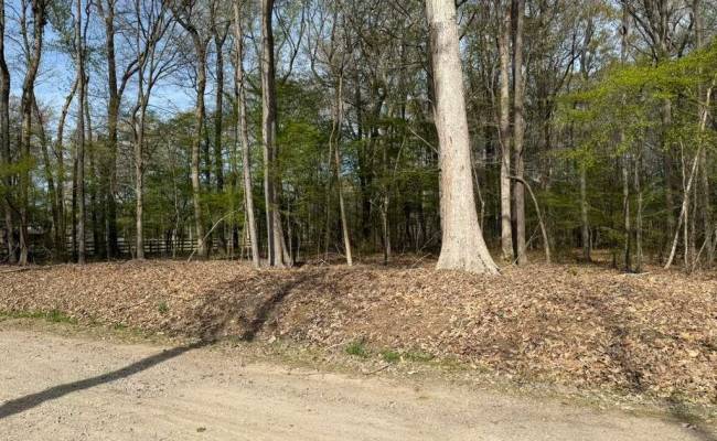 5.2 AC Princess Anne , Virginia Beach, VA 23456