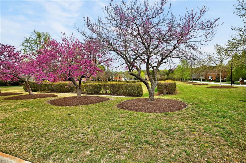Photo 46 of 50 residential for sale in Chesapeake virginia