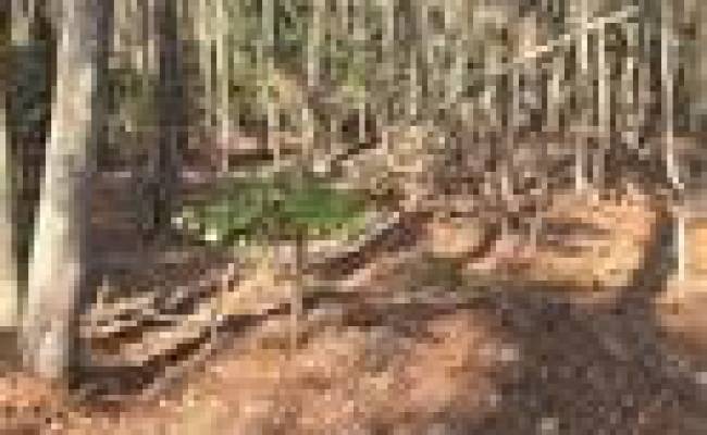 18+AC Pepper Creek Road, Mathews County, VA 23163