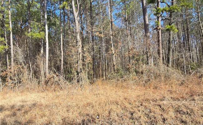 1 AC Warrique Road, Southampton County, VA 23866
