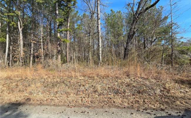 1 AC Warrique Road, Southampton County, VA 23866