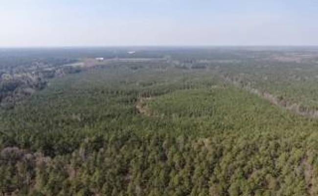 4401 General Mahone Highway, Sussex County, VA 23890