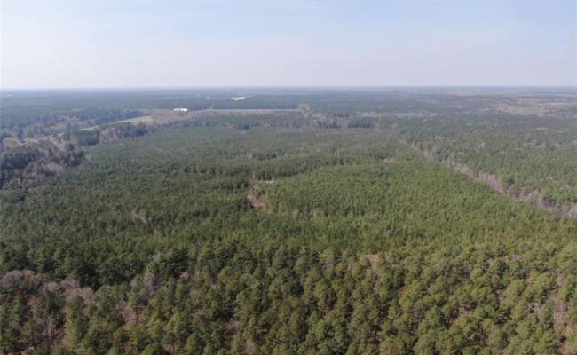 4401 General Mahone Highway, Sussex County, VA 23890