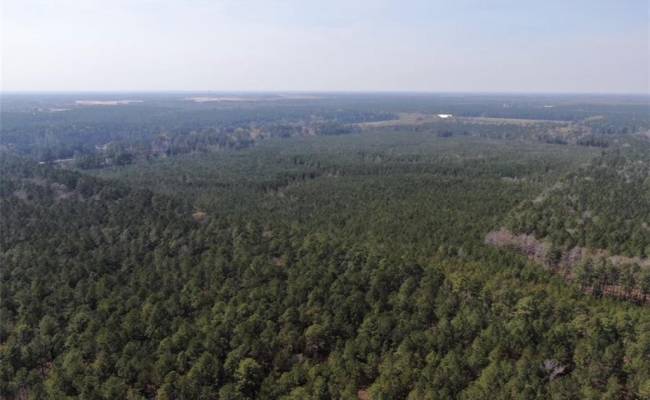 4401 General Mahone Highway, Sussex County, VA 23890