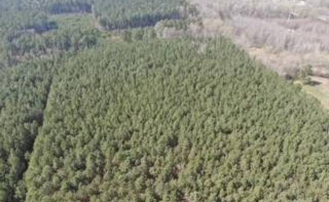 4401 General Mahone Highway, Sussex County, VA 23890