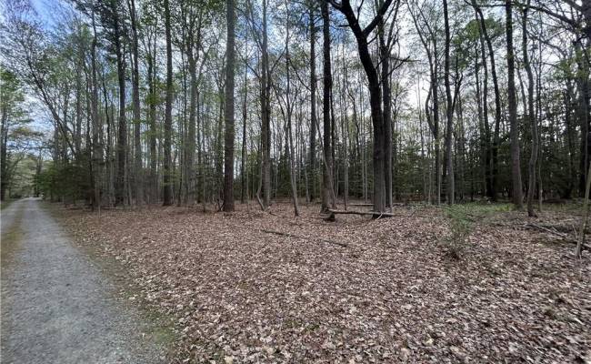 0.92AC Fenwood Court, Isle of Wight County, VA 23430