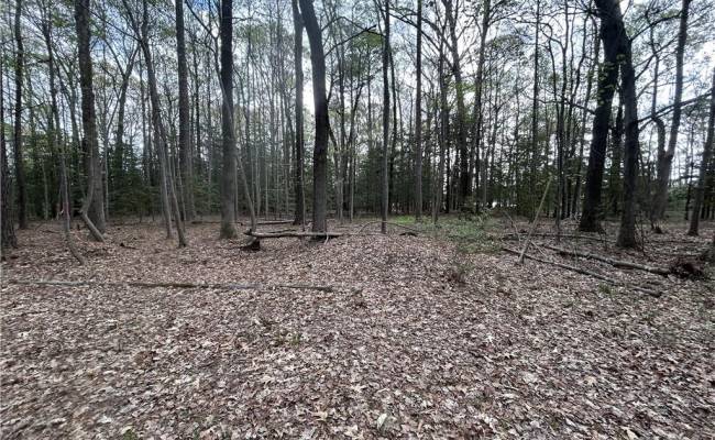 0.92AC Fenwood Court, Isle of Wight County, VA 23430