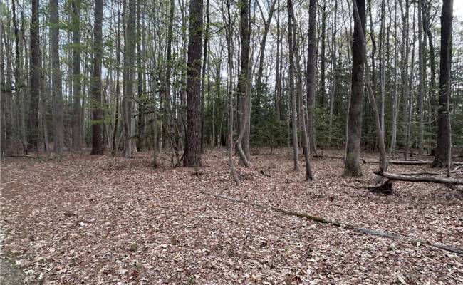 0.92AC Fenwood Court, Isle of Wight County, VA 23430