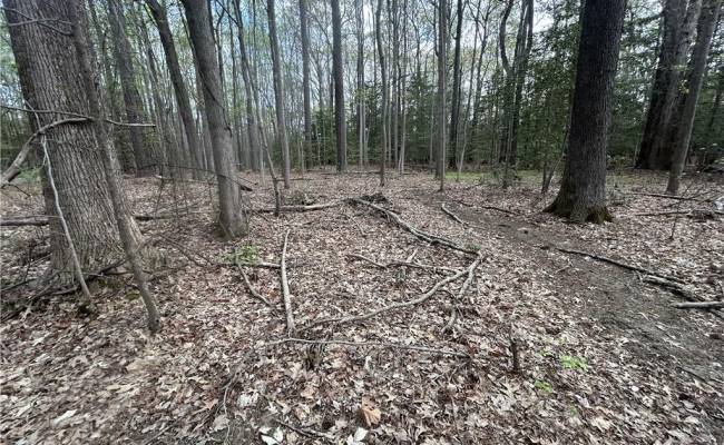 0.92AC Fenwood Court, Isle of Wight County, VA 23430