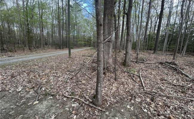 0.92AC Fenwood Court, Isle of Wight County, VA 23430