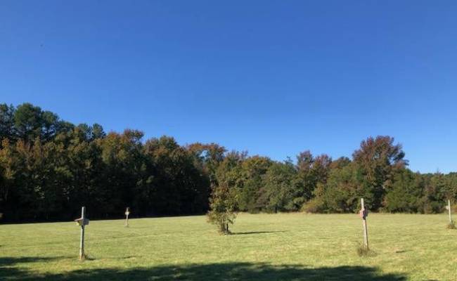 2.995 AC Parcel B, Plantation Road, Accomack County, VA 23417
