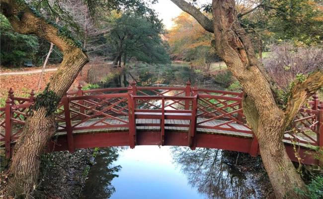 117 Northpoint Drive, James City County, VA 23185