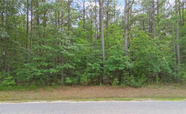 5.1+AC Plantation Place, King & Queen County, VA 23091