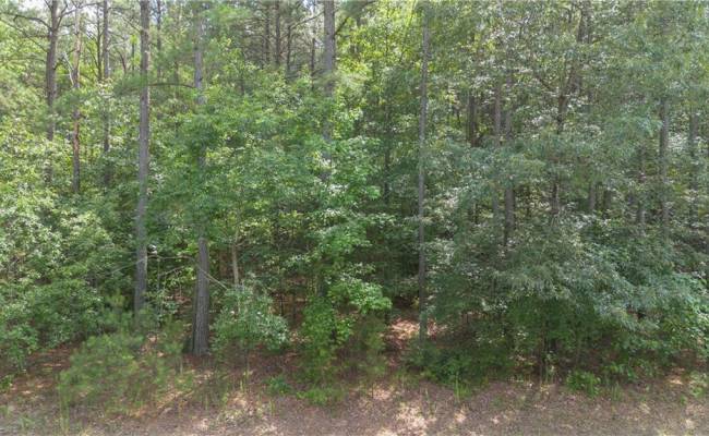 5.1+AC Plantation Place, King & Queen County, VA 23091