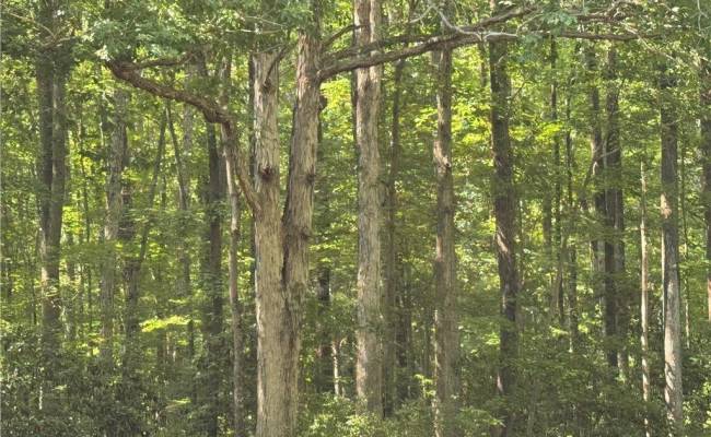 .26+AC Nansemond Parkway, Suffolk, VA 23434