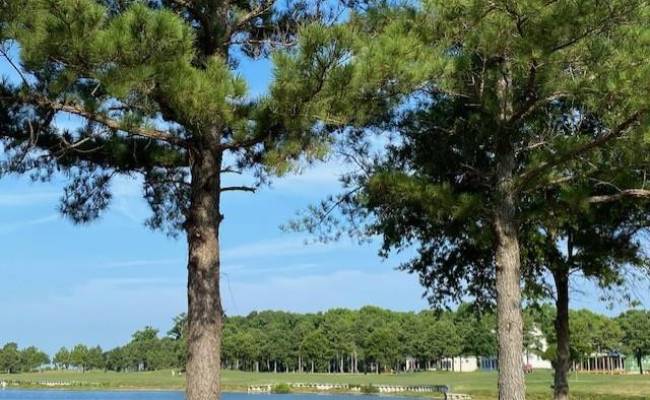 205 Muirfield Drive, Northampton County, VA 23310