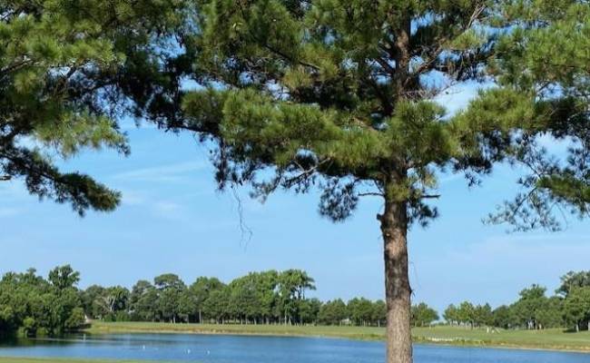 205 Muirfield Drive, Northampton County, VA 23310