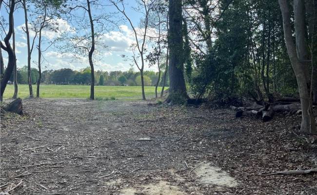 Lot 1 Cobham Wharf Road, Surry County, VA 23883