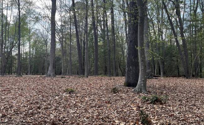 Lot 1 Cobham Wharf Road, Surry County, VA 23883