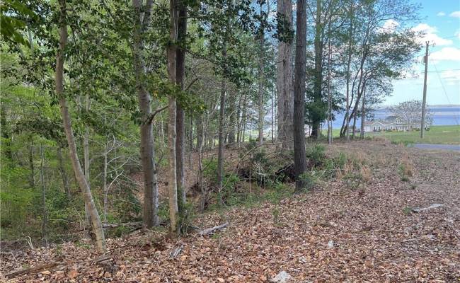 Lot 1 Cobham Wharf Road, Surry County, VA 23883