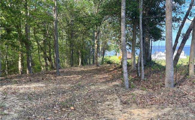 Lot 1 Cobham Wharf Road, Surry County, VA 23883