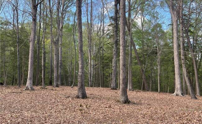 Lot 1 Cobham Wharf Road, Surry County, VA 23883