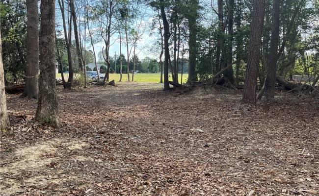 Lot 2 Eagle Lane , Surry County, VA 23883