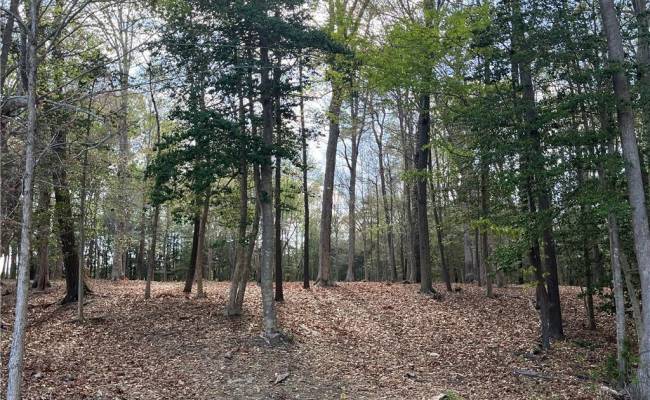 Lot 2 Eagle Lane , Surry County, VA 23883