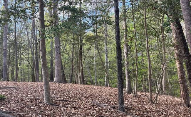 Lot 2 Eagle Lane , Surry County, VA 23883